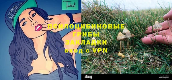 кокс Белокуриха