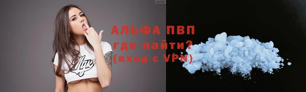 сатива Белоозёрский