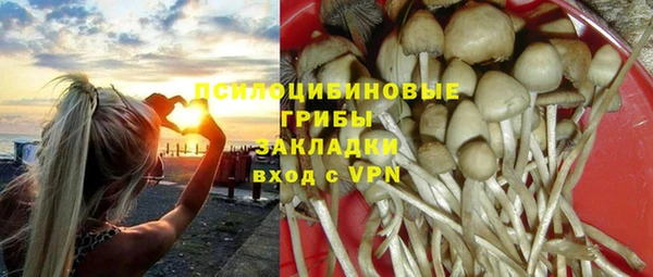 сатива Белоозёрский